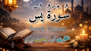 Surah Yaseen | Dil Ko Sukoon Denay Wali Quran Ki Ayat | Daily Tilawat 🌙