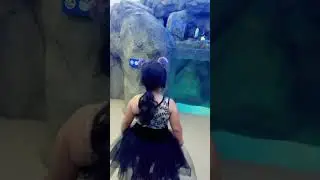 Oh my god &hellip;..3 #penguin #zoo #calgary #calgaryzoo #alberta #alberteinstein