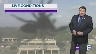 Giant bug attacks 6 News weather camera