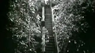 Historic Paronella Park footage