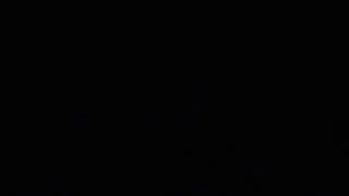 12000V 60mA synchronous rotary spark gap tesla coil NIGHT with streamer
