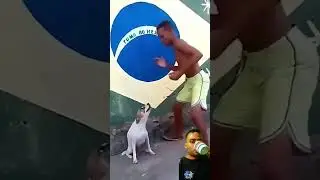 Enséña a bailar a tu perro  #viralvideo