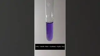 Біуретова реакція (якісна реакція на білки)  Biuret test (qualitative reaction for proteins)
