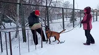 Berry. Protection training January 2022.