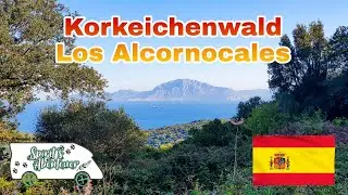 Mit dem Wohnmobil durch Spanien - Der gr&ouml;&szlig;te Korkeichenwald Spaniens - Naturpark Los Alcornocales