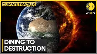 Food we eat responsible for 1/3rd of human-made emissions | WION Climate Tracker