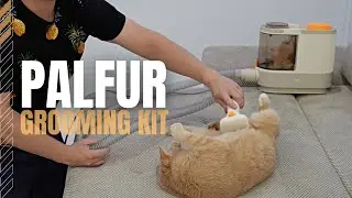 PalFur IN01 Pet Grooming Kit Review - Awesome Grooming at Home!