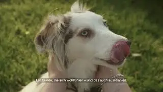 Swiss Natural besteht aus 4 Zutaten, mehr braucht es nicht.