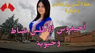 احيدوس الاطلس نشاط وحيوية امازيغية تأخذك في رحلة لا تُنسى بين مكناس وخنيفرة