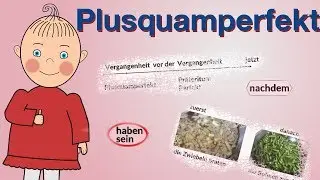 Plusquamperfekt | Deutsch lernen | Niveau B1/B2 | HD