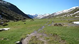 ESTA NOCHE HA LLOVIDO