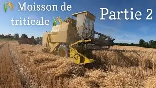 Moisson de triticale avec une moissonneuse Clayson 1530 🌡🌾
