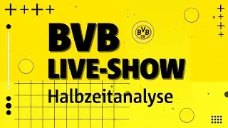 BVB vs. Bayer 04: Halbzeit-Analyse des Bundesligaspiels