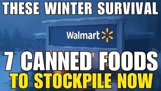 These Weird Winter Survival Canned Food to STOCKPILE &ndash; (Get Prepping NOW)