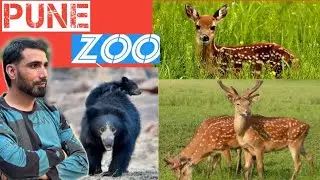 Rajiv Gandhi Zoological Park Pune| katraj zoo park pune BHAlu HIran | Complete Guide | Pune Zoo