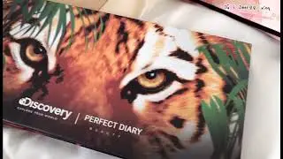 Perfect diary X discovery eyeshadow palette