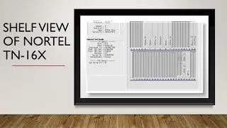 Shelf View of Nortel TN 16X Node