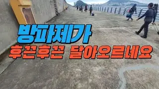Busan Samchi Lure Shore Jigging ep. The breakwater is heating up.