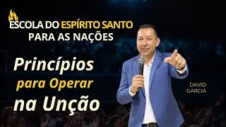 Un&ccedil;&atilde;o de Alto N&iacute;vel - David Garcia