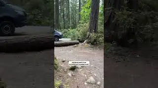 Our process for finding the best dispersed camping spots 🏕️👇 Our favorite way to camp is off-grid