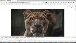 Polymer and progressive apps (PRPL pattern)