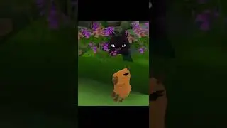 Clara the Capybara | Bandits Animal Jam #animaljam ￼