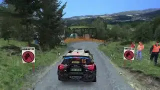 RBR - Semet&iacute;n 2009  rally2