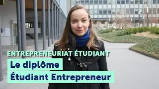 💼 Dipl&ocirc;me &Eacute;tudiant-Entrepreneur : t&eacute;moignages