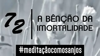 Meditação para a força da vida - Ian Mecler - Anjo 72 - Mumiah