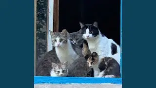Может заново