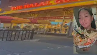 HALAL GUYS IN BOSTON! MUST TRY FOOD! QUICK AND CHEAP @Creamy_Asian