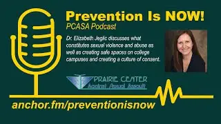 Prevention Is Now   Sexual Violence and Prevention Basics with Dr  Elizabeth Jeglic