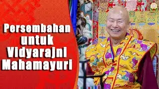 08-09-2024 Persembahan untuk Vidyarajni Mahamayuri 修「孔雀明王」增益及敬愛法，可以每天用新的橘子及石榴供養祂