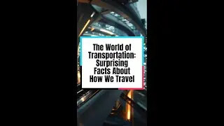 The World of Transportation: Surprising Facts About How We Travel