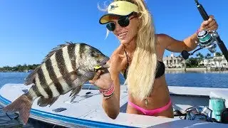 Florida Inshore Fishing for Sheepshead with LIVE Shrimp!