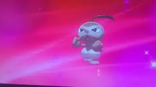 Seedot evolution Pokemon sword and shield