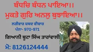 ਬੰਧਚਿ ਬੰਧਨ ਪਾਇਆ ।। Kathavachak Butta singh Taranwali Dehradun wale,#viral #kathvachak 