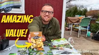 The Best Deal on Heirloom Seeds I've Ever Seen! | Survival Garden Seed Collections