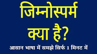 जिम्नोस्पर्म क्या है / Gymnosperm Kya Hai / Naked Seed Plant / Gymnosperm ki Paribhasha