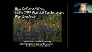 Easy California Natives for Your Garden - Plant Sale Preview