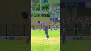 Game real cricket swipe