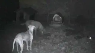 onlinecamera.net - FD-YT01A & FD-YT01B