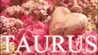 TAURUS WEEKLY LOVE TAROT READING FOR AUGUST 31 2020 &ldquo; YOU&rdquo;RE EX WANTS CLOSURE 🤦🏽&zwj;♀️💗😂❤️😎💖👏🌹