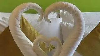 LIVE: How to Fold Towels Like a 5-Star Hotel! (Easy Step-by-Step)