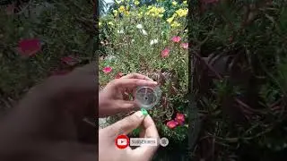 Amazing Balloon Tricks At Home