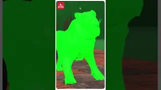 Paint & Animals Cow,Tiger,dinosaur,Lion,Elephant Fountain Crossing Transformation Animal Cartoon
