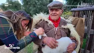 Linea Verde Rai Uno racconta le bellezze della Valle d'Itria