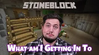 Is This Reverse Sky Block? | StoneBlock Modpack