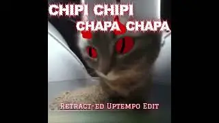 Chipi Chipi Chapa Chapa (UPTEMPO HARDCORE EDIT)