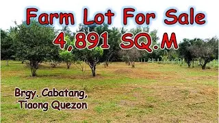 4,891 SQM Farm Lot for Sale (Prop# 194) Tiaong, Quezon